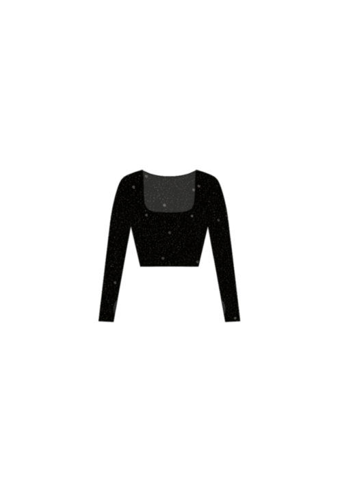 Crop Mesh Manga Larga - Negro